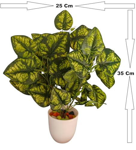 Image of Natural Looking Artificial Money Plant /Tree with Pot | Ornamental Plant for Interior Decor | Home /Shop /Office Decor (Yellow-Green-New)