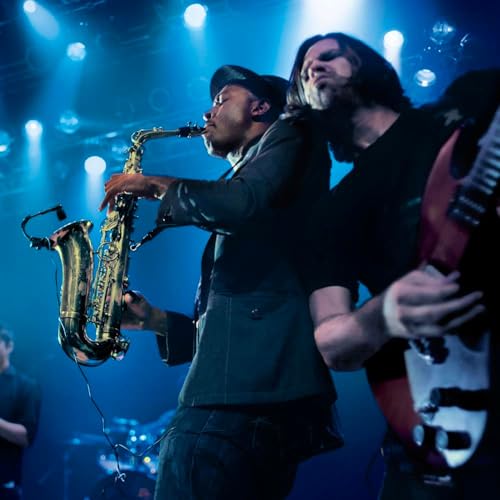 Superlux PRA-628 MKII XLR Microphone, 200ohm Impedance, 150dB SPL, Includes Clamp and Bag