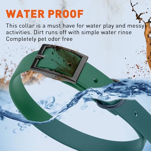 Image of Dogline Biothane Waterproof Dog Collar Strong Coated Nylon Webbing with Black Hardware Odor- Proof for Easy Care Easy to Clean High Performance Fits Small Medium or Large Dogs, Hunter Green