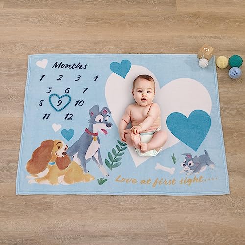 Image of NoJo Disney Lady & The Tramp Blue, White, and Gold Love at First Sight Super Soft Photo Op Milestone Baby Blanket