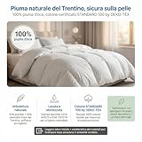 Zoom IMG-2 piumino d oca trentino 4 Zoom IMG-2 piumino d oca trentino 4