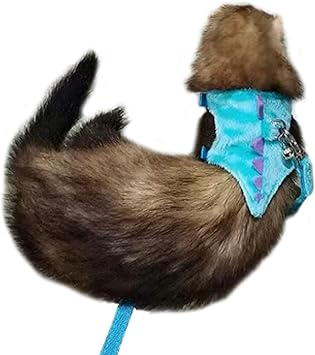 Ferret Harness and Leash Set Small Animals Vest Harness with Safe bell Dinosaur Shaped Walking clothes for Baby Rabbit Guinea pig Teacup Chihuahua Mouse and other small pet Blue