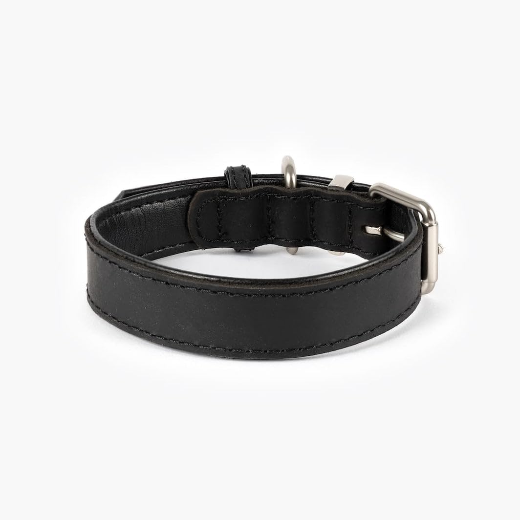 EzyDog Oxford Collier en cuir de qualité supérieure pour chiens de petite et grande taille en cuir naturel, réglable et rembourré (M, noir)