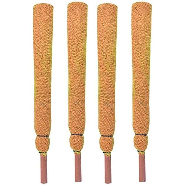 SHANS COCOCRAFT Coco Pole - Coir Stick (Brown, 1 Ft) Pieces (4)