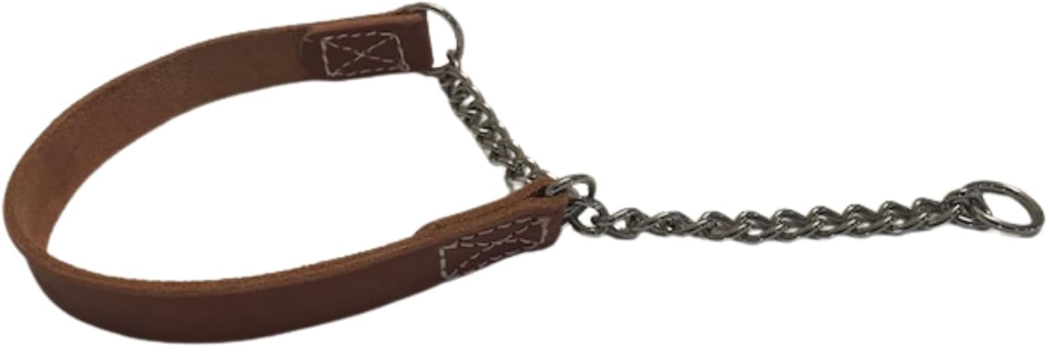 Joel Silverman's Patented Alternative Training Collar (Medium II) - Alternative to a Martingale and Pinch Collar!