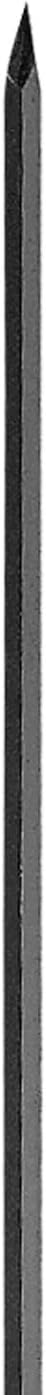 True Temper 1169100 Diamond Point, 60-Inch Chisel Slate Bar