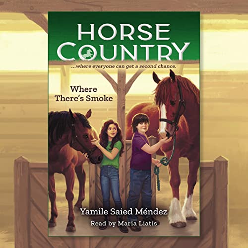 Where There's Smoke by Yamile Saied Méndez episode artwork