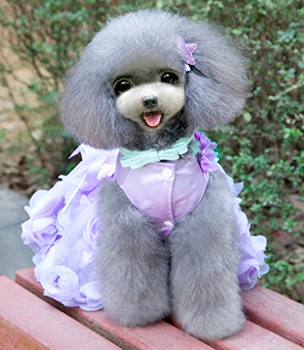 Smalllee_Lucky_Store Pet Small Dog Puppy Cat Clothes Coat Wedding Costume Satin Rose Formal Dress Tutu Purple Violet L #TOP1