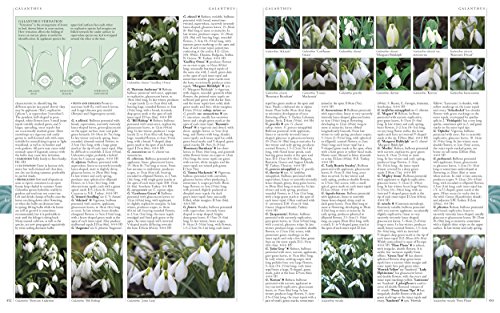 Image of RHS A-Z Encyclopedia of Garden Plants 4th edition