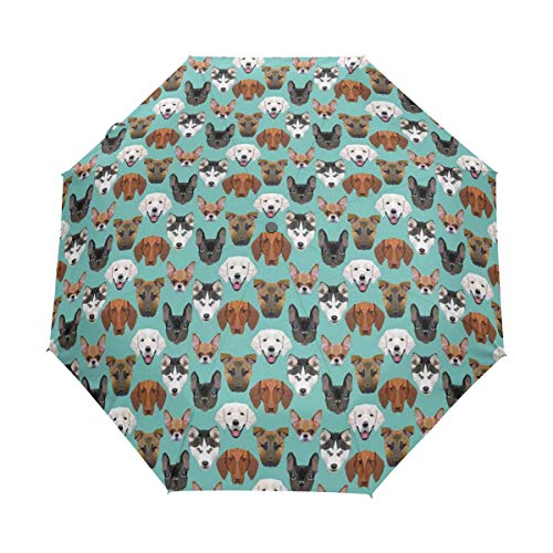 Preisvergleich Produktbild SUHETI Regenschirm TaschenschirmPolygonaler Kunststil Verschiedene Rassen von Hunde Labrador Porträts Winkel WelpenliebeAuf Zu Automatikwindsicherstabil