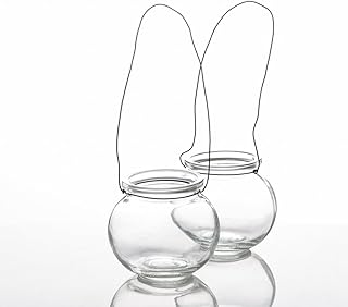 Richland Bubble Hanging Glass Vase Set of 12
