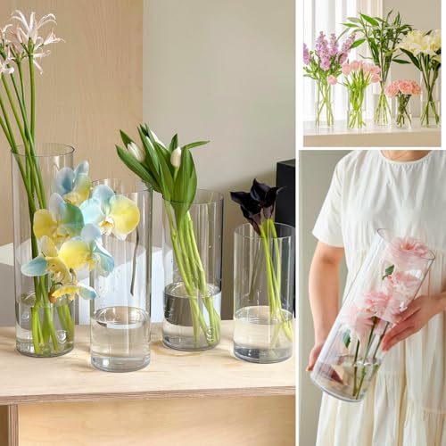 3 Clear Acrylic Cylinder Vase for Centerpieces, Tall Cylinder Plastic Hurricane Vases, Large Unbreakable Flower Vases for Wedding Bouquet (D 4.8", D 6" X H 15.8" +D 4" X H 12") - Image 7