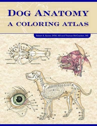 Teton NewMedia Dog Anatomy: A Coloring Atlas