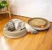 PETTOM Kratzbretter Katze, Kratzpappe mit Ball, Katzen Kratzmöbel Pappe, Kratzspielzeug Groß Runden 46×46cm