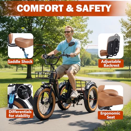 Electric Tricycle for Adults 750W(Peak 1350W) 48V15.6Ah