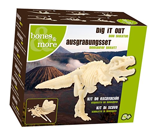 Dam SPRL Juego Educativo Esqueleto de Dinosaurio – Devenez paléontologue – grattez, fouillez, creusez, découvrez.