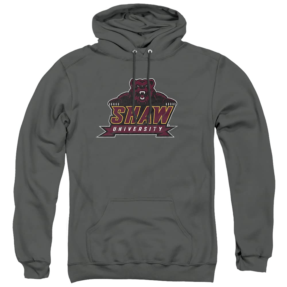 LOGOVISION Official Collegiate Distressed Primary Logo Adult Pullover Hoodie Collection — view 370