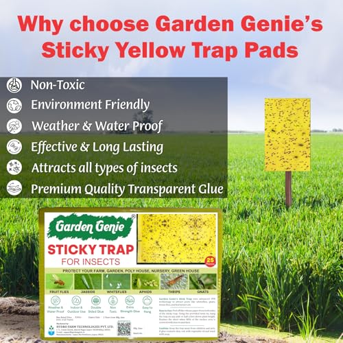 Image of Garden Genie Yellow Sticky Trap for Insects 10 Traps (150x200mm) | Double Sided Glue /Fly /Insect Catcher /Sticky Pads for Flying Insects, Thrips, White Flies Etc | Suitable for Gardens & Farms