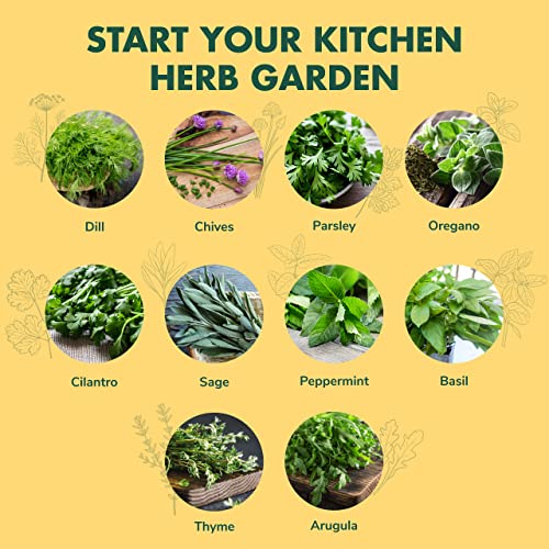 Herb Garden Seeds For Planting - 10 Culinary Herb Seed Packets Kit, Non Gmo Heirloom Seeds, Plant Markers, Wood Gift Box - Home Gardening Gifts For Gardeners #TOP4