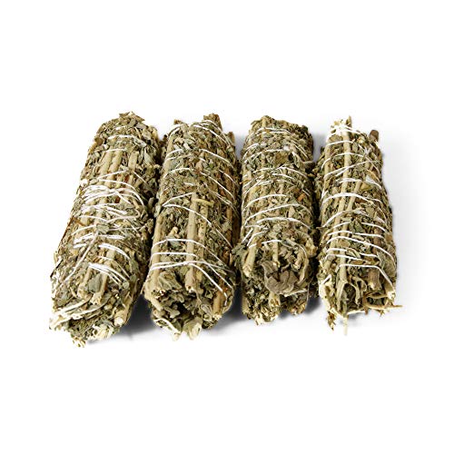 DHYANA Sauge en bâtonnet, Ballot de Sauge en bâton purificateur, encens chamanique à brûler pour Purification et Fumigation. (120, Sauge) Cover