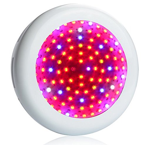 Panneau LED grow light 1000W pour sauver les plantes manquant de lumière