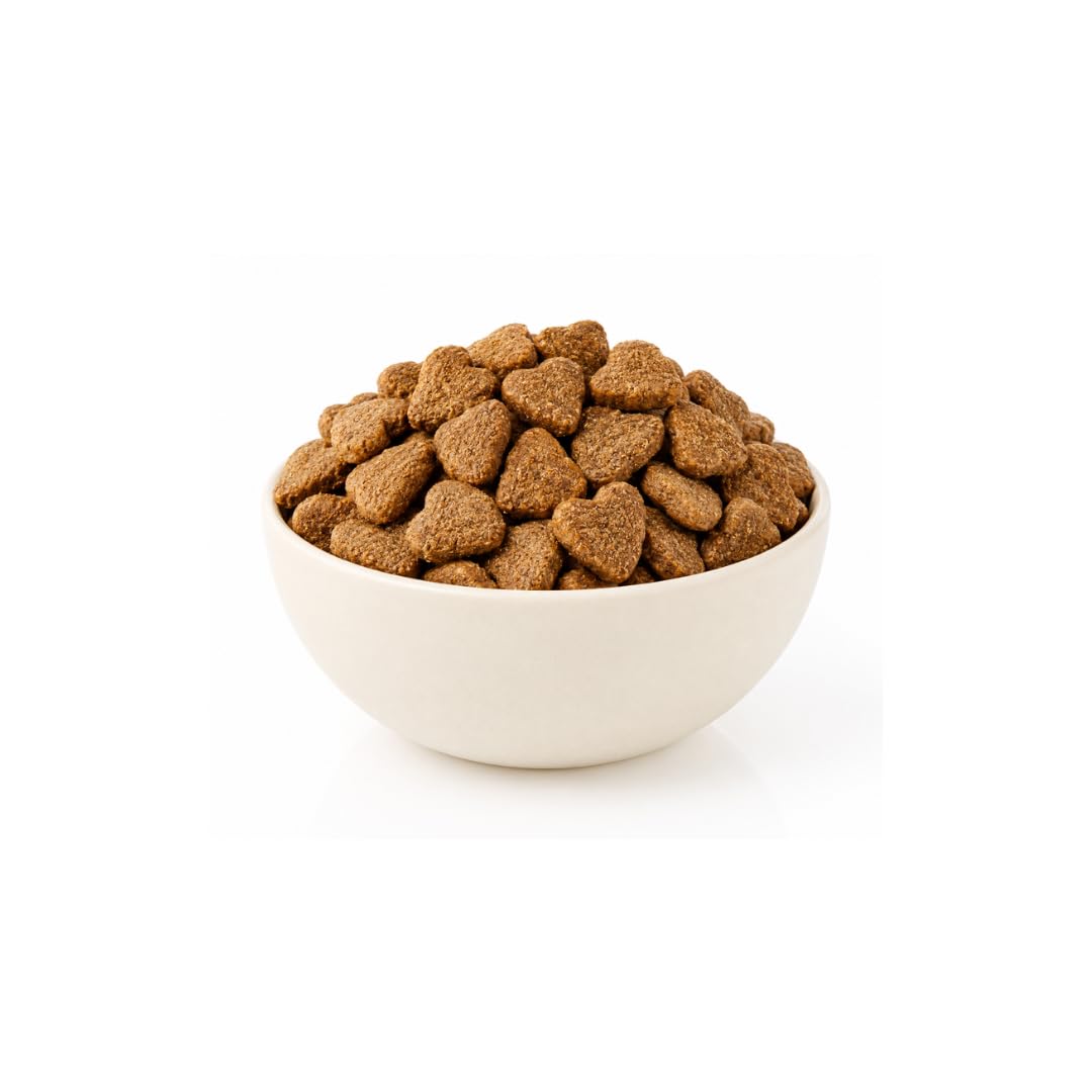 VERSELE-LAGA - Complete Rat & Mouse - Extrudés Tout-en-Un Riches en Protéines pour Rats et Souris - 2kg