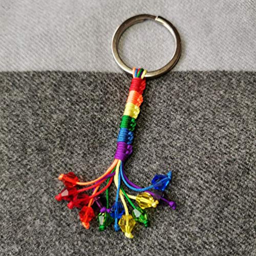 PRETYZOOM 2 Pcs Lgbt Porte-Clés Metalgay Fierté Porte-Clés Homosexuel Arc en Ciel Porte-Clés Porte-Clés Cadeau D'anniversaire pour Hommes Femmes - Image 6