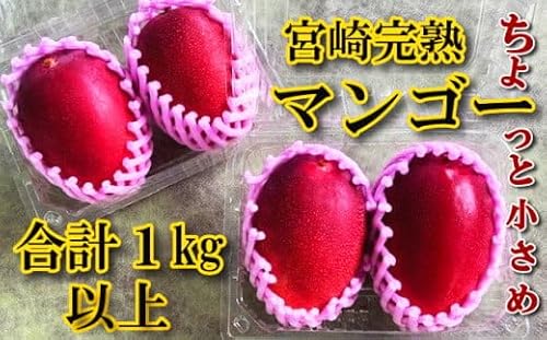 [先行予約]小さいマンゴーでも味と糖度は贈答用と同じ!M・Lサイズ4玉(1,200g前後) ご家庭用 ちょっと小さめ宮崎完熟マンゴー YMPML4