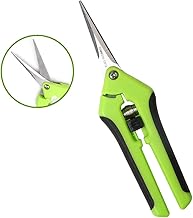 Eachbid Forbici da Potatura in Acciaio Inossidabile Forbici Giardinaggio Cesoie Potatura Manuale per Frutta Fiori (Verde)