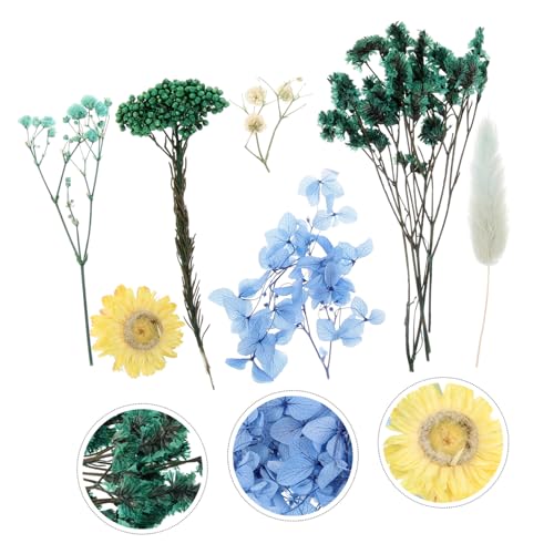 Material artesanal con flores prensadas naturales secas miniatura 6