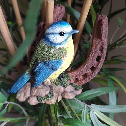 Mésange bleue sur fer à cheval Vivid Arts déco résine - 6