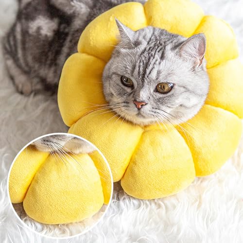 Newpop Halskrause Katze, Leckschutz Einstellbarer Katzenkragen, Halskrausen Katzen, Kragen Halskragen Katze, Schutzkragen Weich, Wiederherstellung Halsband, Klein Hund Nach Operation Katzenhalsband