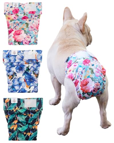 Image of CuteBone Washable Dog Diapers Female No Tail Hole 3 Pack Reusable Doggie Period Training Pants for Docked-Tail Frenchie French Bulldog Boston Terrier Without Tail WWD04S