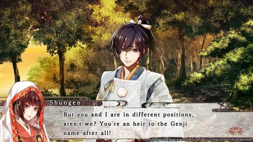 birushana rising flower of genpei limited edition - nintendo switch