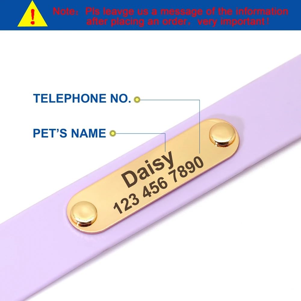 Collar De Perro Personalizado,Conjunto De Correa,Collar Impermeable para Perros Y Gatos,Collares De Identificación Personalizados para Mascotas con Cuerda De Plomo para Perros Pequeños Y Grande