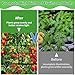 Trellis Netting, Scrog Net with 4 Hooks, 4x4 Trellis Nets for Grow Tent, Heavy-Duty Plant Net for Cucumber Gardening and Horticulture, Grow Tent Accessories(1 Pack)