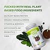 Vega-One-Organic-Chocolate-Meal-Replacement-Protein-Powder-Vegan-Plant-Based-Superfood-Vitamins-Probiotics-Dairy-Free-Gluten-Free-Pea-Protein-for-Women-and-Men-16-Pounds-17-Servings Vega Organic All-in-One Vegan Protein Powder, Chocolate - Superfood Ingredients, Vitamins for Immunity Support, Keto Friendly, Pea Protein for Women & Men, 1.6 lbs (Packaging May Vary)