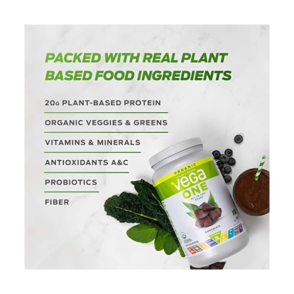 Vega-One-Organic-Chocolate-Meal-Replacement-Protein-Powder-Vegan-Plant-Based-Superfood-Vitamins-Probiotics-Dairy-Free-Gluten-Free-Pea-Protein-for-Women-and-Men-16-Pounds-17-Servings Vega Organic All-in-One Vegan Protein Powder, Chocolate - Superfood Ingredients, Vitamins for Immunity Support, Keto Friendly, Pea Protein for Women & Men, 1.6 lbs (Packaging May Vary)