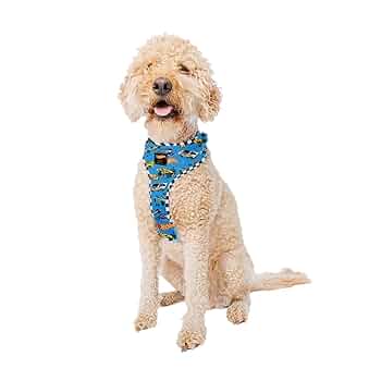 【 dog.woof  】 Woof Dog Woof Dog Pupsicle Green XL - Long Dog Fat Cat