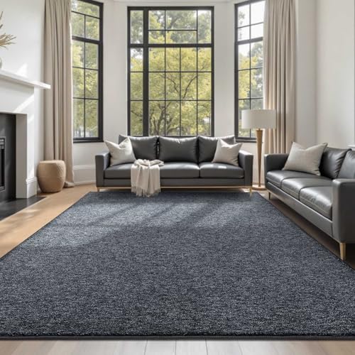6x9 Large Grey Area Rug