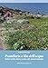 Pantelleria A Filo Dell’Acqua. Sentieri Costieri, Discese A Mare, Rade, Percorsi Subacquei - 3