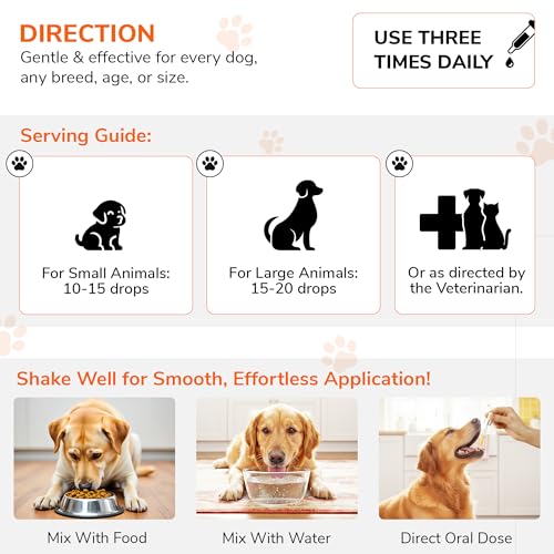 Image of Bakson Veterinary Creatinine Aid Drops for Pets | Natural Homoeopathic Renal Support | Helps Maintain Creatinine Levels & Kidney Function | Gentle, Non-Toxic & Safe Long-Term Care - 30ML