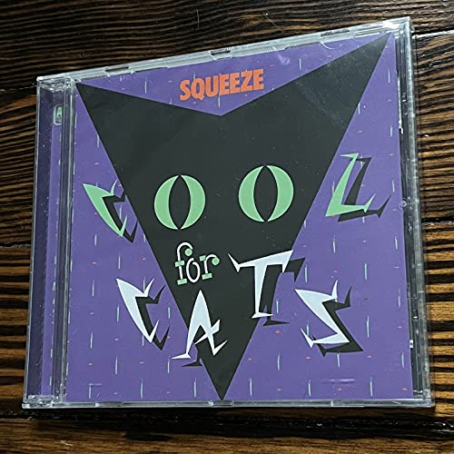 Cool for Cats