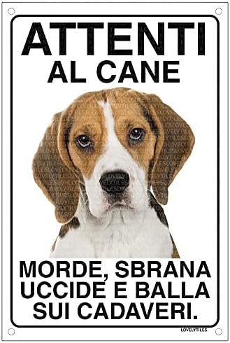 Avviso Cani Da Guardia Cartello Attenti Al Cane In Metallo