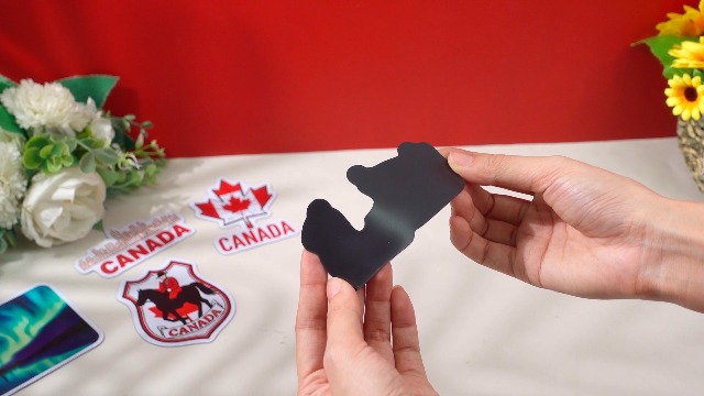 Set de 12 Imanes Decorativos Canadiense Yunsailing miniatura 7