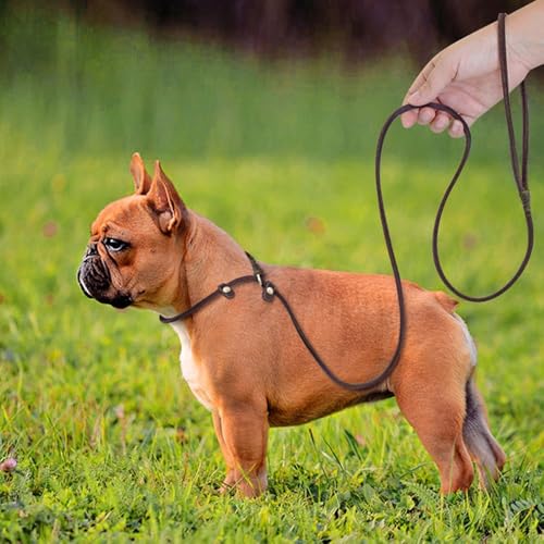 2-in-1 Hundeleine, 1,5m/5ft Leder Retrieverleine mit Zugstopp, Einstellbar Retriever Leinen mit Halsband für Hunde mit Gewicht von etwa bis 10 kg geeignet