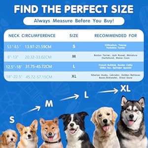 Soft Dog Cone Collar Alternative - Adjustable Recovery Collar for Post-Surgery, Neck Donut E-Collar for Small Medium Large Dogs, Comfy Elizabethan Collar Substitute Soft Dog Cone Collar Alternative Adjustable Recovery Collar for Post Surgery Neck Donut E Collar for Small Medium Large Dogs Comfy Elizabethan Collar Substitute