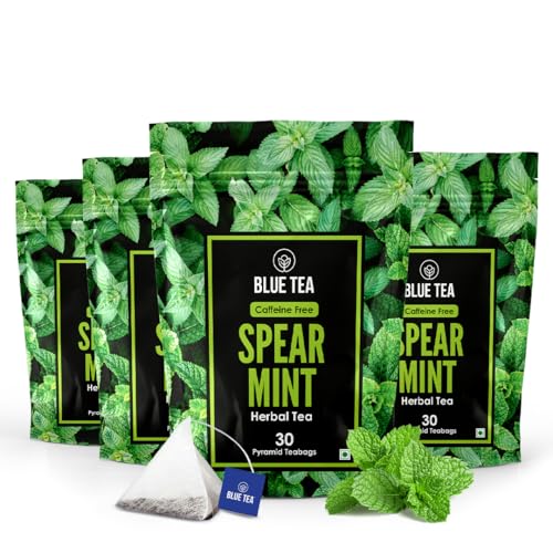 Image of BLUE TEA - Spearmint Herbal Tea - 30 Tea Bags (Pack of 4) - Plant Based |PCOS RELIEF | Supports Digestion | Balances Hormones | Reduces Facial Hair | Herbal Tea - Dried Loose Leaf - Caffeine Free | Featured In Shark Tank | Zipper Packaging