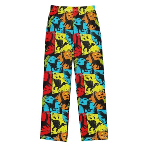 ZZXXB Retro Dinosaur Boys Long Pants Soft Trousers Elastic Waist Kids Lounge Bottoms with Pockets S-XL