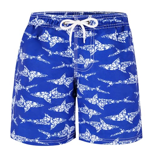 TRAMLE Boys Swimming Trunks Kids Beach Shorts with Mesh Lining 13-14 Years Toddler Printed Shorts Quick Dry Board Shorts